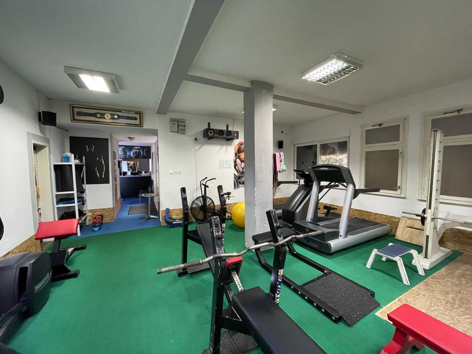 Image 5