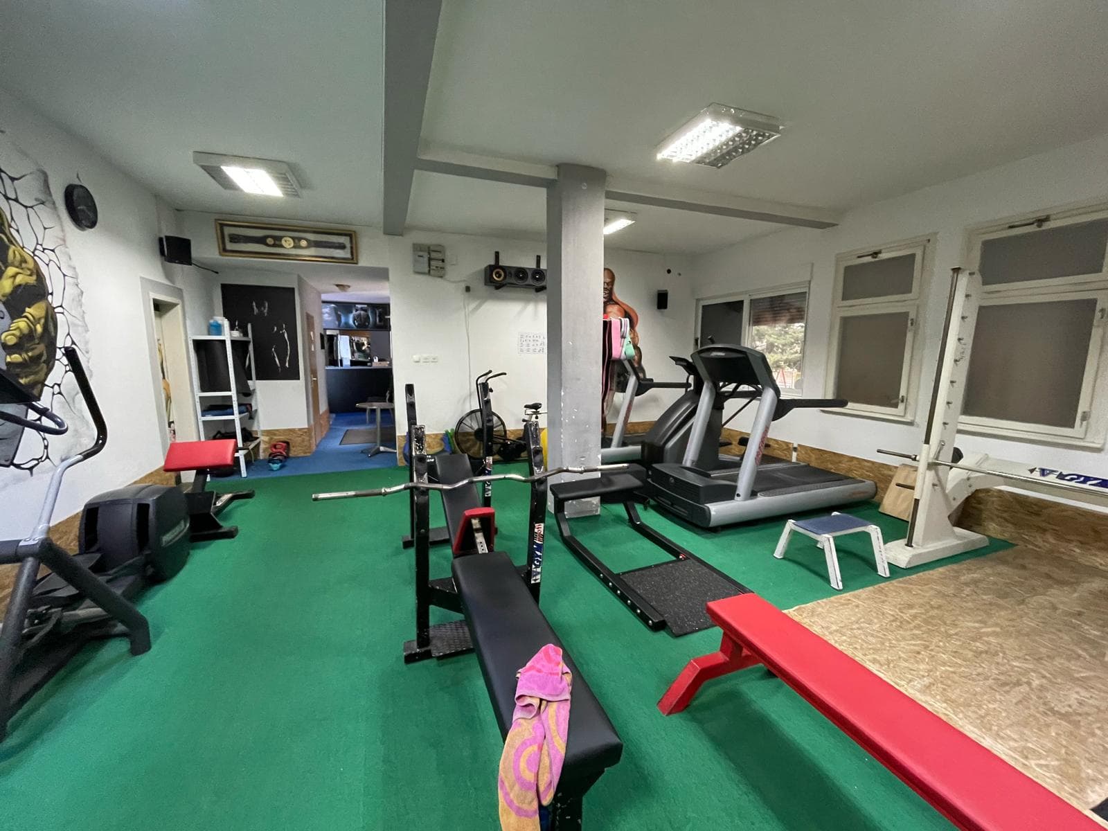 Image 6